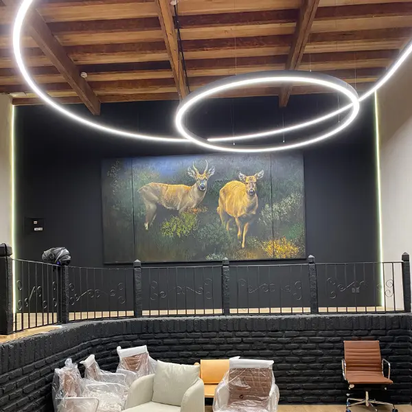 Montaje de luminarias LED circulares suspendidas en salón interior realizado por Horma Electricidad